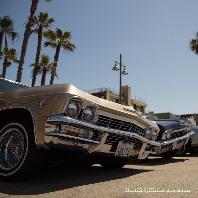 Illustration for article titled Dogtown Rumble